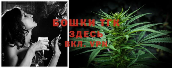 прущие грибы Абаза