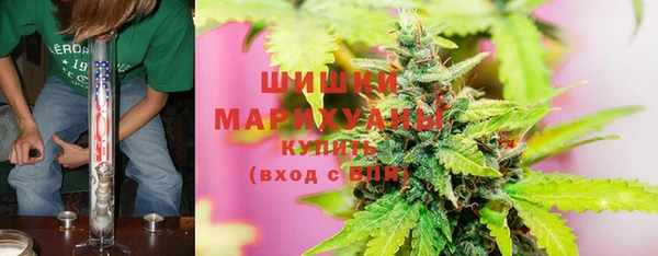 прущая мука Алзамай