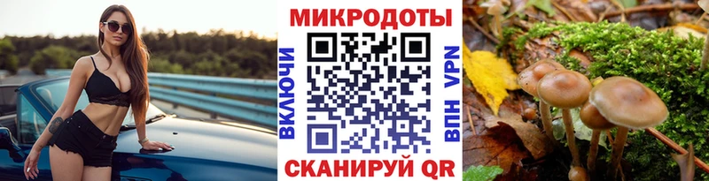 Галлюциногенные грибы мицелий  Данков 